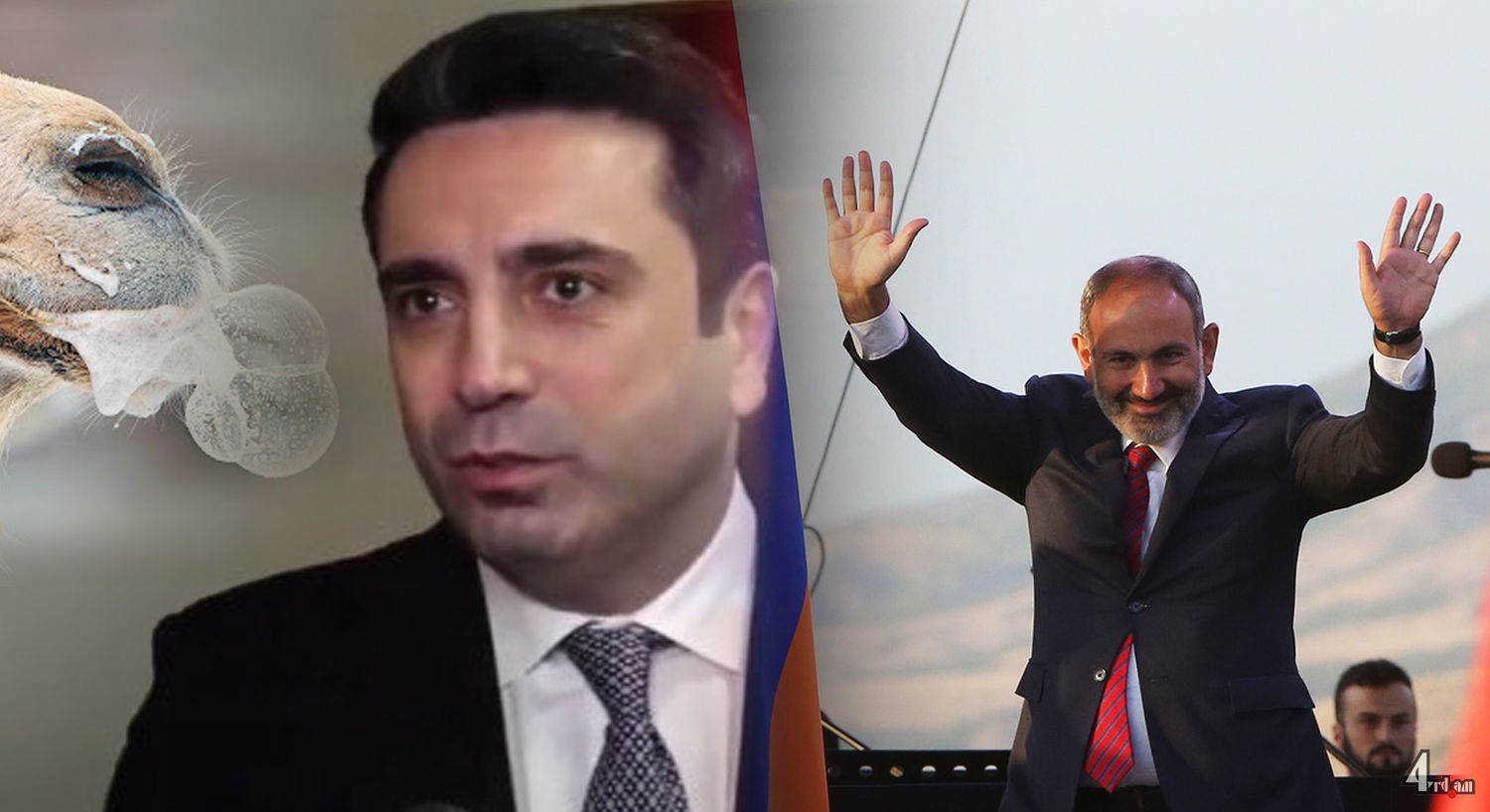 Վա՜յ, ի՞նչ եք ասում