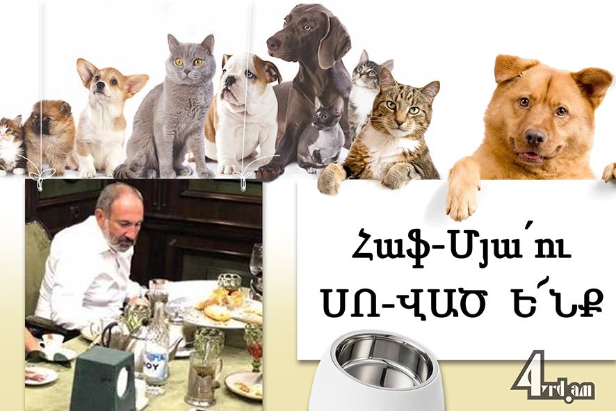 Իշխանությունների անտրամաբանական քայլերը ապշեցնում են