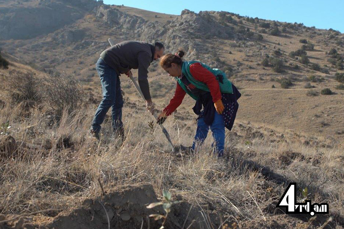 Գնիշիկում մեկնարկել է բնապահպանական ծրագրի հերթական փուլը